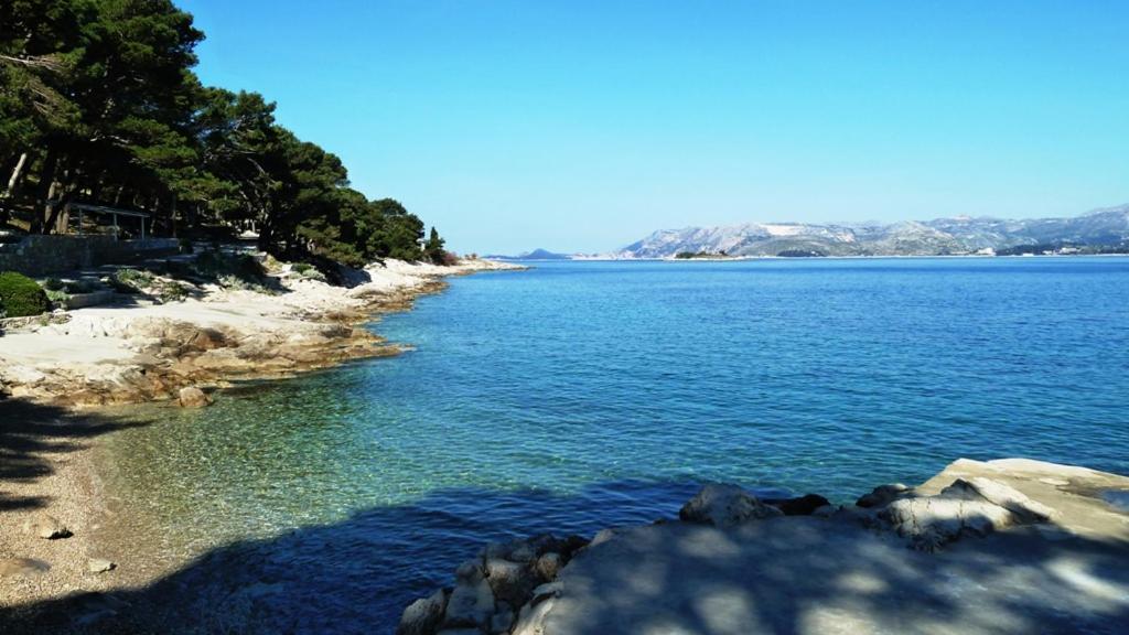 Nice Apartment & Room In Cavtat Exterior foto