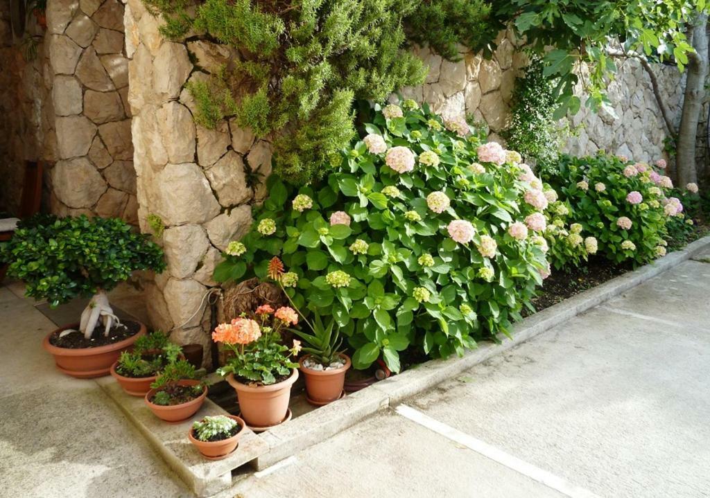 Nice Apartment & Room In Cavtat Exterior foto